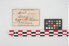 Etikett zu Bronzedrahtarmring (NHMW-PRAE-026435)